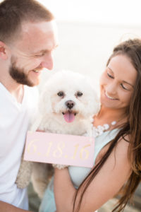 Puppy wearing a wedding date sign